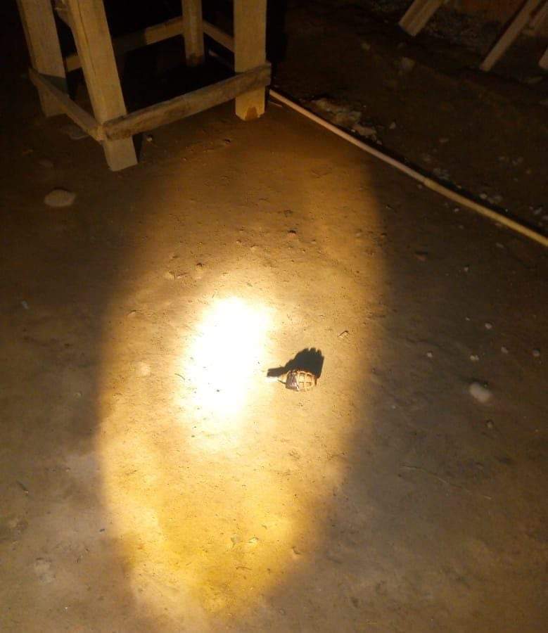 Grenade lobbed in Mouchwa Budgam, no loss of life reported