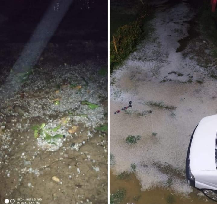 Multiple Hamlets in Kupwara, Baramulla Witness Severe Hailstorm; Extensive Damage to Orchards, Paddy Harvest Reported