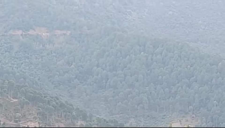Search for militants in forest belt of Poonch and Rajouri enters 20th day