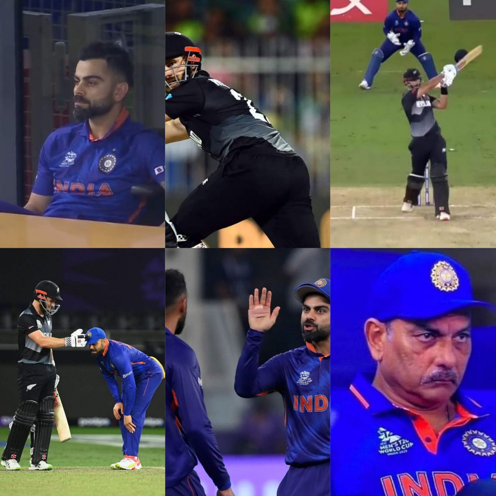 T20 World Cup: New Zealand beat India by 8 wickets