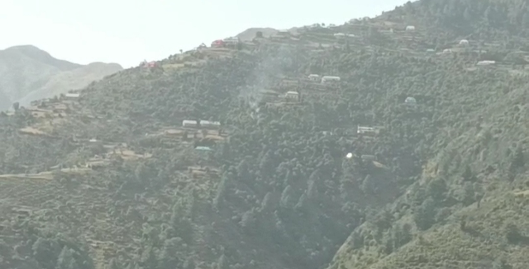 Poonch Operation:Joint Forces arrest alleged militant operator