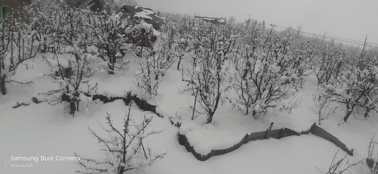 Gulmarg Freezes At Minus 9.5°C, Fresh Snowfall In Some Parts Of J&K